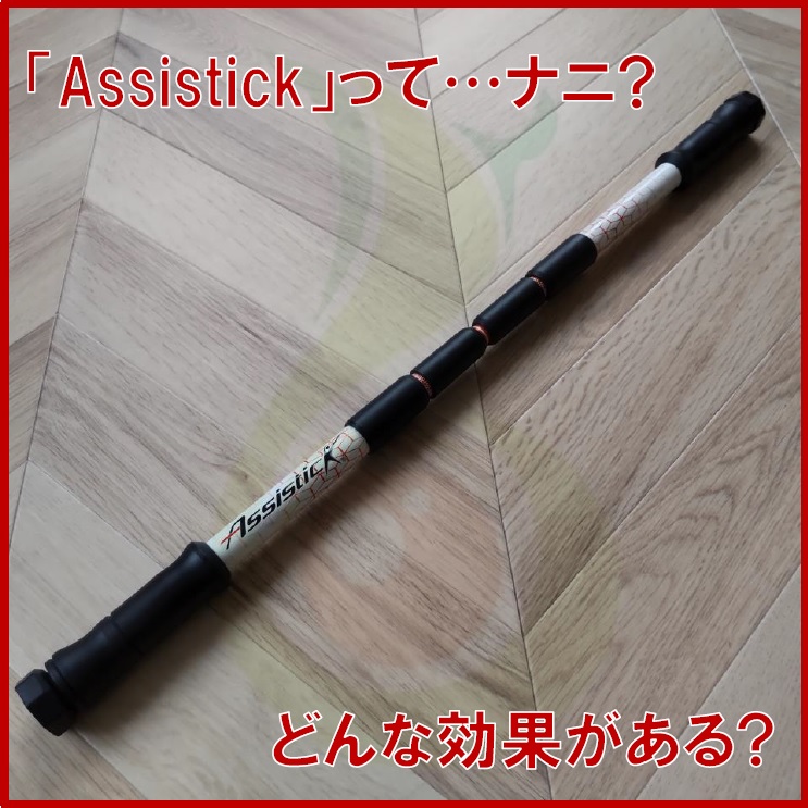 assistick-2.jpg